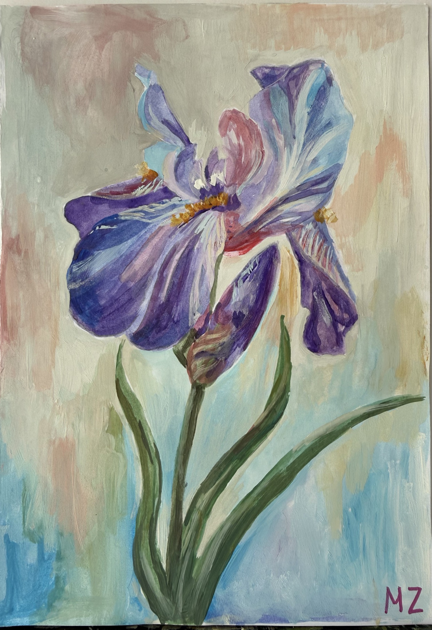 Fresh Iris