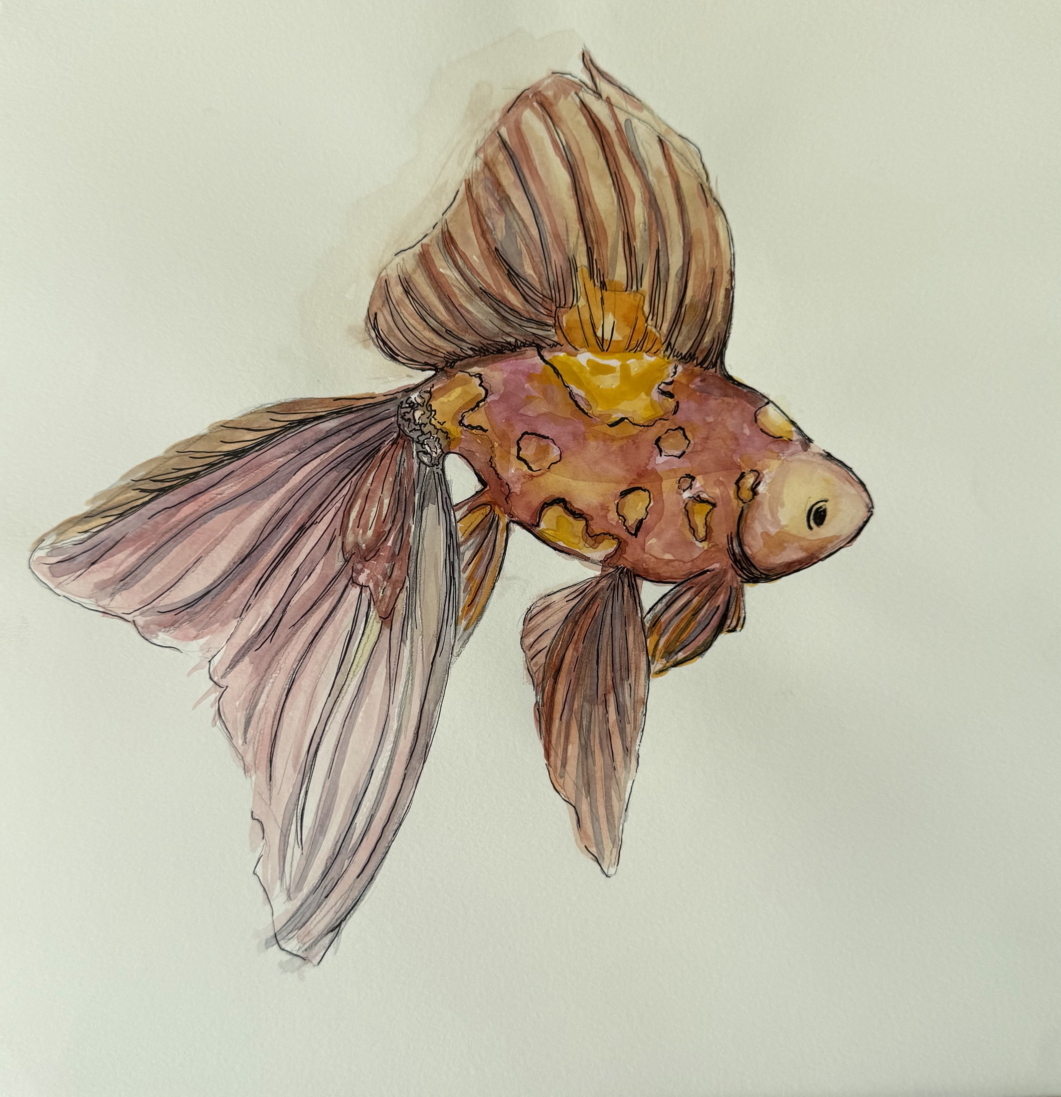 Golden Fins